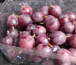 Gooseberries