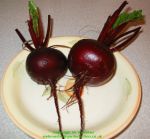 Fresh Beetroot