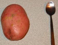 Medium potato used to thicken the soup
