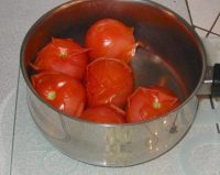 Tomatoes boiling