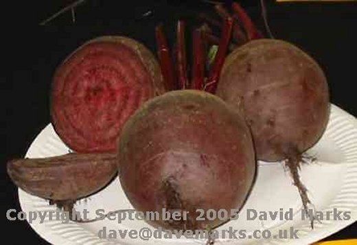 Beetroot