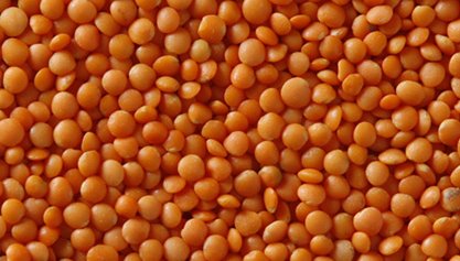 Football Red Lentils